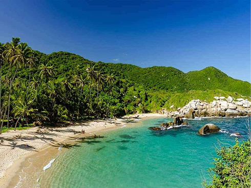 importancia ecologica